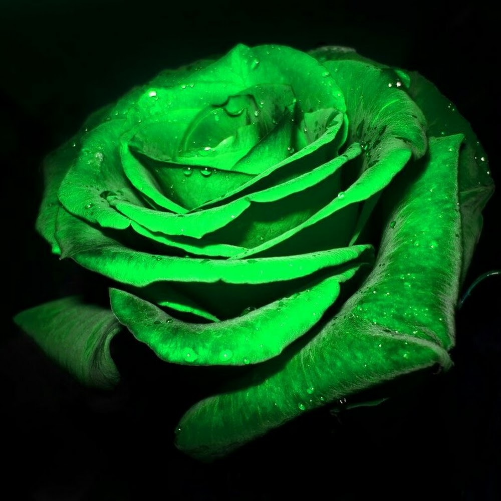 Meet your Posher, Inkabey